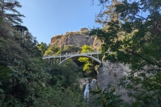 A look at the bridge inside the botanical garden of tbilisi.